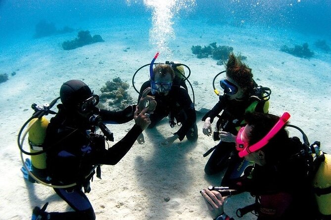 Exciteful Scuba Diving Experience in Antalya - How the two underwater sessions work