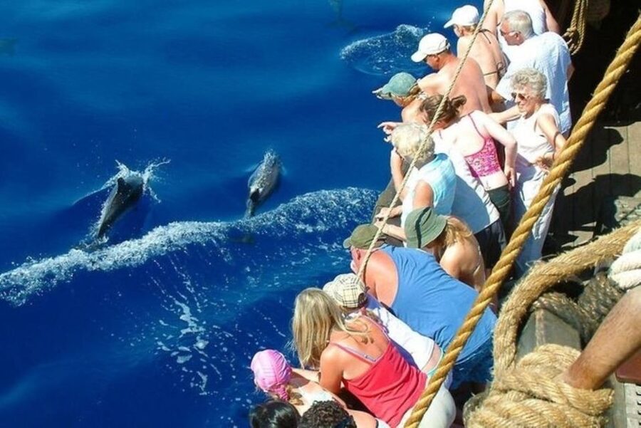 Explore Alanya's Beauty Catamaran Boat Tour - Lovers’ Cave and the Sail Back to Port