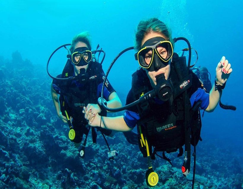 Fethiye: 2 Guided Scuba Dives with Lunch and Hotel Transfers - Key points to know before you book