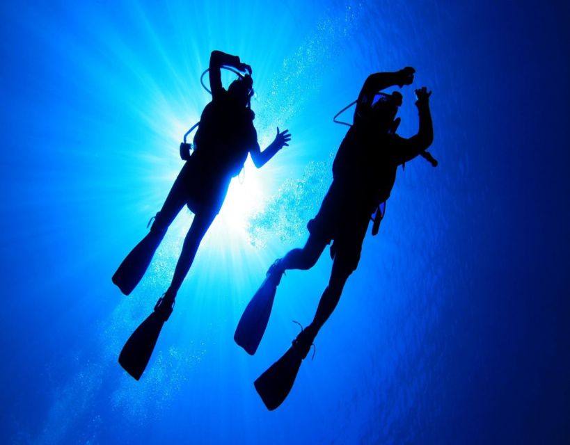 Fethiye: 2 Guided Scuba Dives with Lunch and Hotel Transfers - What this Fethiye boat day is really like