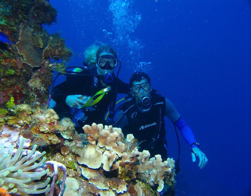 Fethiye: 2 Guided Scuba Dives with Lunch and Hotel Transfers - The first session: fish, reefs, and a gentle start