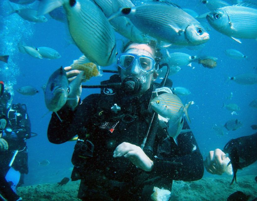 Fethiye: 2 Guided Scuba Dives with Lunch and Hotel Transfers - What you may see below the surface