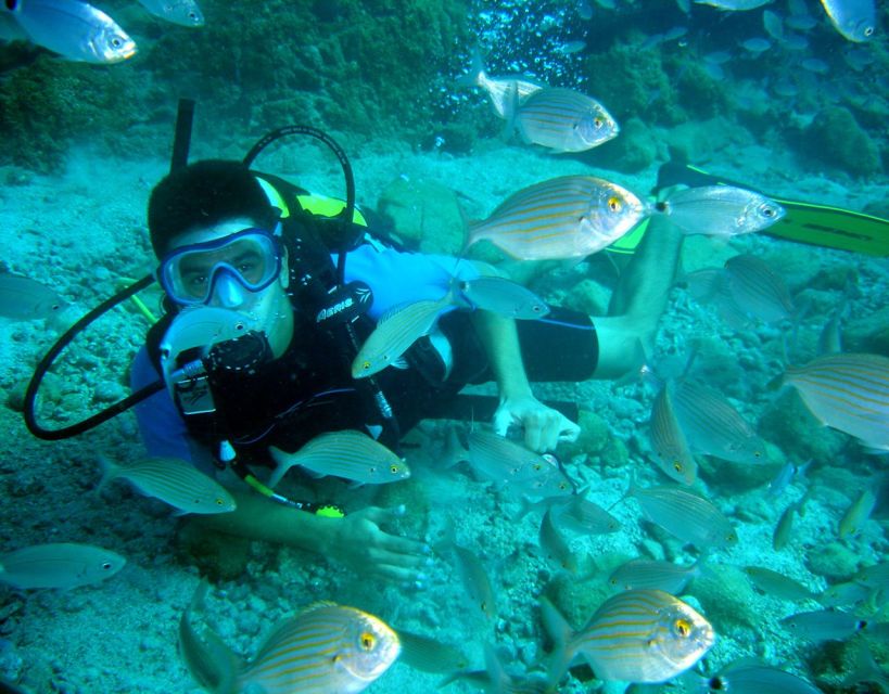Fethiye: 2 Guided Scuba Dives with Lunch and Hotel Transfers - Is $70 good value for Fethiye?