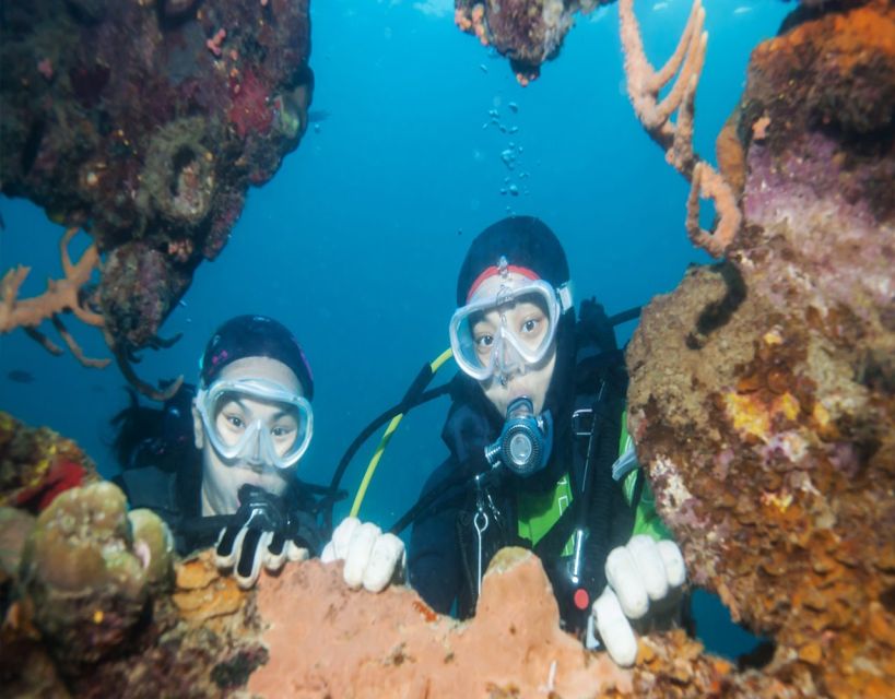 Fethiye: 2 Guided Scuba Dives with Lunch and Hotel Transfers - Hotel pickup makes the morning easy