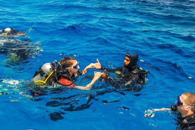 Fethiye Scuba Diving Experience - What the Fethiye scuba day is really like