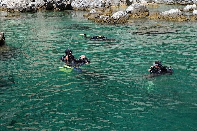 Fethiye Scuba Diving with Transfer, 2 Dives and Lunch - What You See Beneath Fethiye