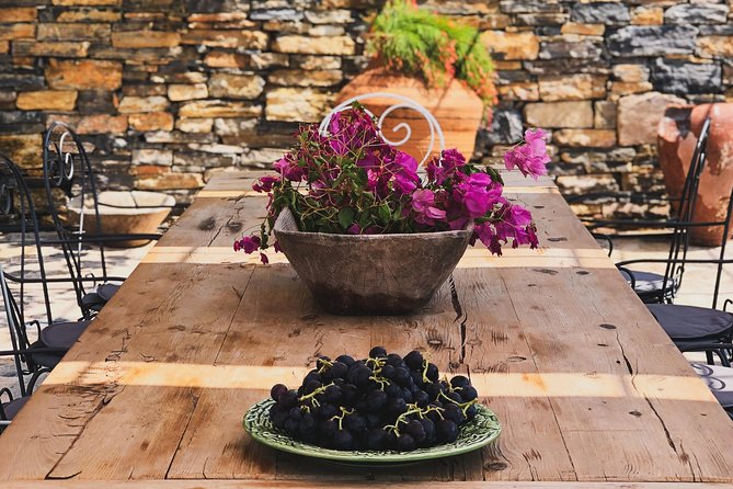 Food and Wine pairing Dinner at Karnas Vineyards Bodrum - How much value does the $211.19 price offer?