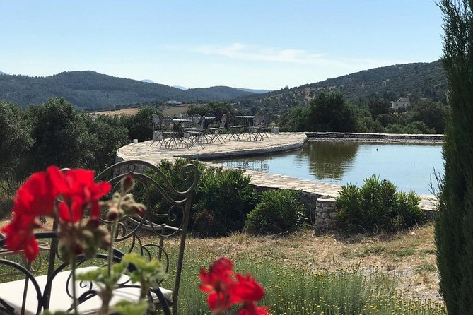 Food and Wine pairing Dinner at Karnas Vineyards Bodrum - A rosé welcome and a short cellar visit