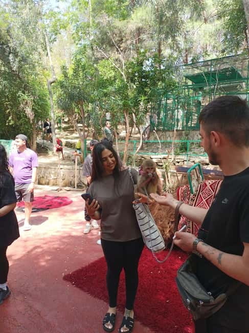 From Alanya: Lion Safari & Green Canyon Splash Feast w/Lunch - Key points to know before you book