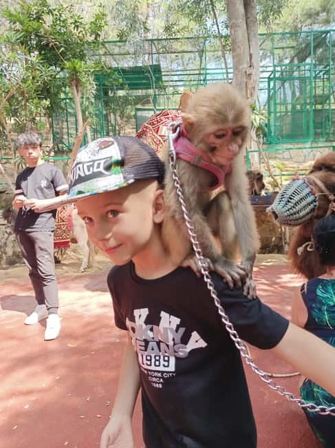 From Alanya: Lion Safari & Green Canyon Splash Feast w/Lunch - Gözleme, foam, and a very Turkish pause