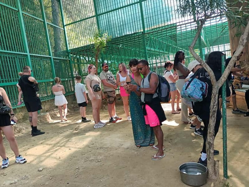 From Alanya: Lion Safari & Green Canyon Splash Feast w/Lunch - Who will enjoy this tour most