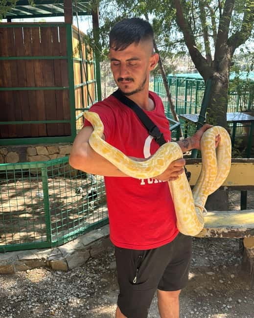 From Alanya: Lion Safari & Green Canyon Splash Feast w/Lunch - The lion safari and optional animal visit