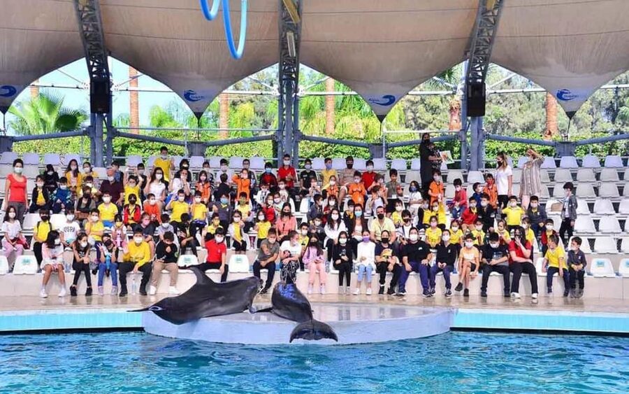From Belek: Dolphin Show with Transfers - Who will enjoy this Belek activity most