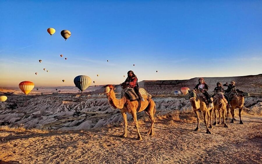 From Cappadocia: Sunrise or Sunset Camel Riding Day Trip - Key points to know before you book