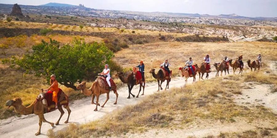 From Cappadocia: Sunrise or Sunset Camel Riding Day Trip - The operator’s reliability matters