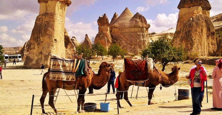 From Cappadocia: Sunrise or Sunset Camel Riding Day Trip - Choosing sunrise or sunset