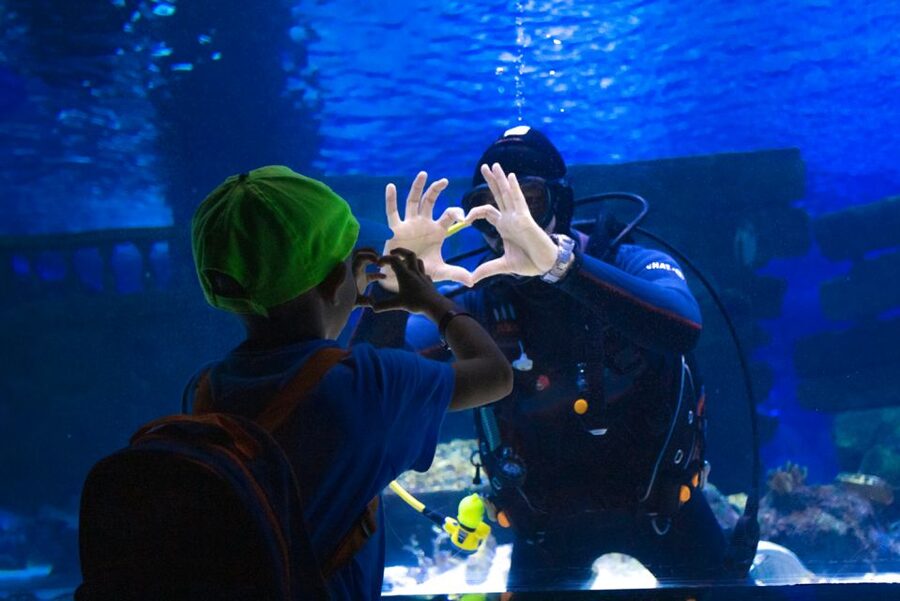 From City of Side: Antalya Aquarium Tour, Ticket & Transfer - A long morning drive from Side