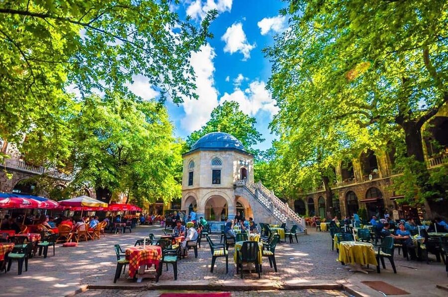 From Istanbul: Bursa Day Trip with Lunch and Transfers - Turkish delight, honey, and the 610-year-old plane tree