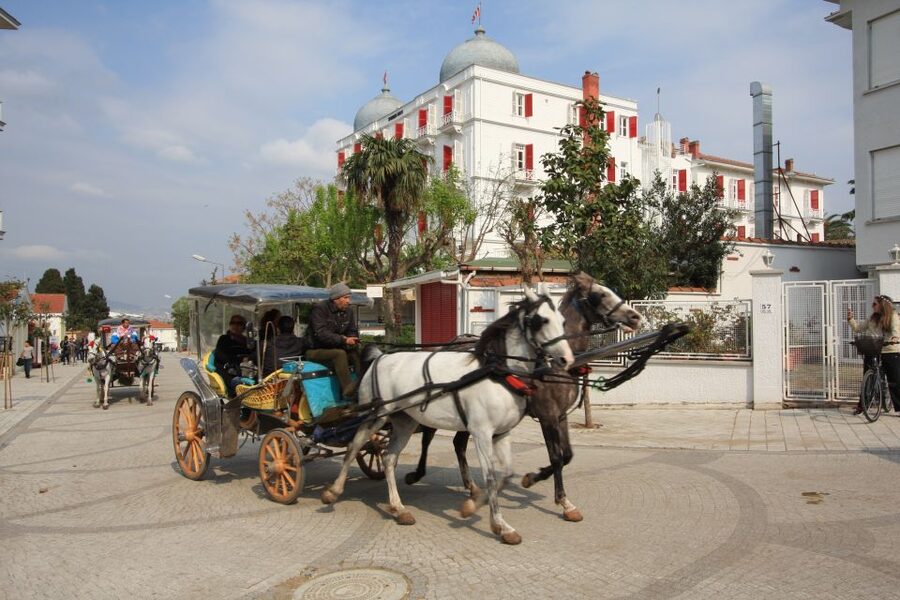 From Istanbul: Full-Day Princes Island Tour with Lunch - Why this boat trip makes a good Istanbul break