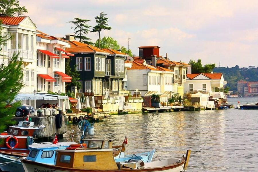 From Istanbul: Full-Day Princes Island Tour with Lunch - The Sea of Marmara views are worth the fare