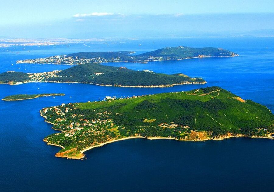 From Istanbul: Full-Day Princes Island Tour with Lunch - Kınalıada: one hour of island calm