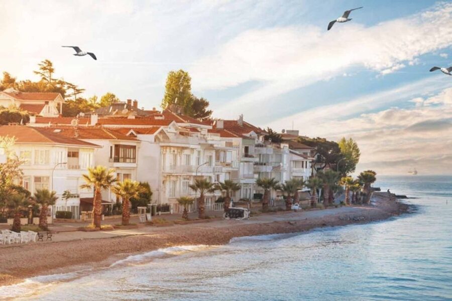 From Istanbul: Full-Day Princes Island Tour with Lunch - What the guide adds to a mostly independent visit