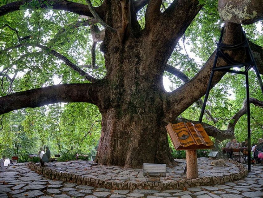 From Istanbul: Full-Day Tour to Bursa - Up Uludag by cable car