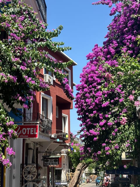 From Istanbul: Princess Islands Guided Tour - Making the most of three hours on Büyükada