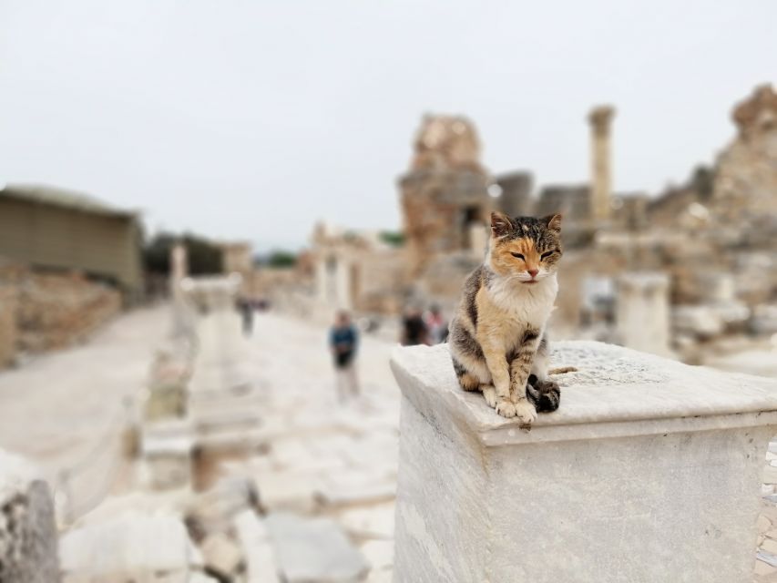 From Istanbul: Private Guided Day Trip to Ephesus with Lunch - Hotel Pickup and the First Flight to Izmir