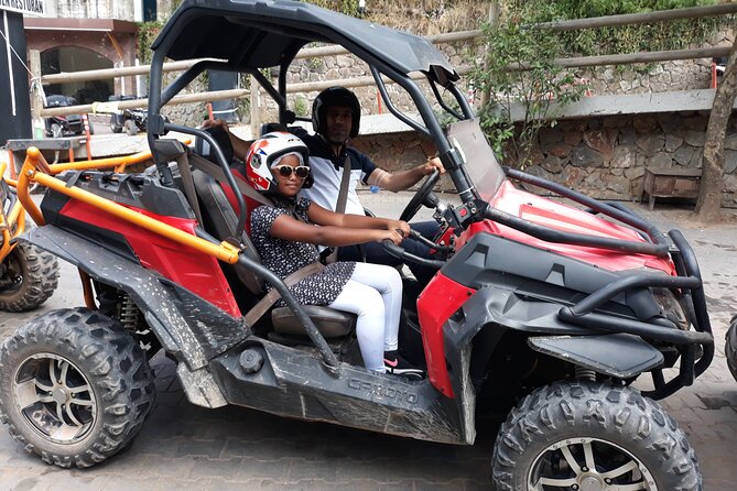 From Istanbul: Sapanca and Masukiye Day Trip with Lunch - Darıca Zoo, Lion Park, or aquarium
