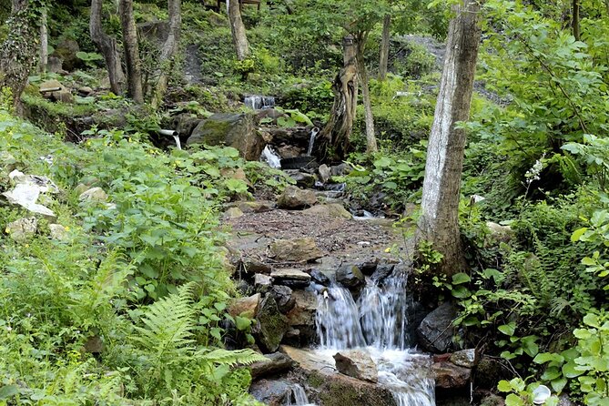From Istanbul: Sapanca and Masukiye Day Trip with Lunch - Mahmudiye Village and the optional adventure tickets