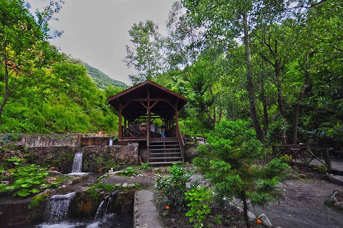 From Istanbul: Sapanca and Masukiye Day Trip with Lunch - Sapanca Lake is the day’s best pause