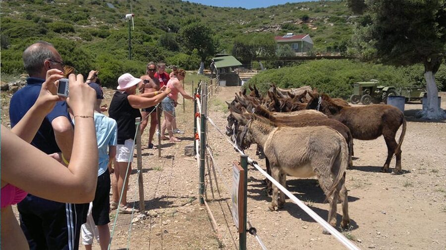 From Izmir: Full Day Boat Trip around Cesme with BBQ Lunch - From Izmir to the Cesme marina
