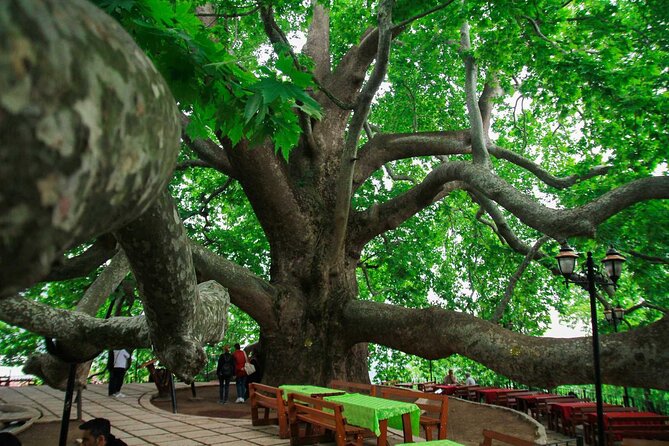 Full Day Bursa Tour from Istanbul(cable car, Lunch & transfer) - Riding the Bursa Teleferik to Uludağ