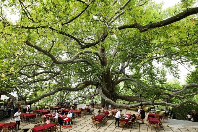 Full Day Guided Tour to Bursa with Lunch and Cable Car - From Istanbul to Bursa by road and ferry