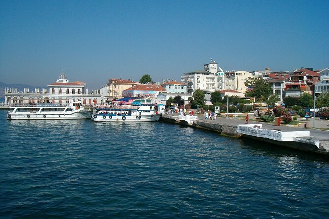 Full-Day Princes Island Tour with Lunch from Istanbul - Who should choose this island day?