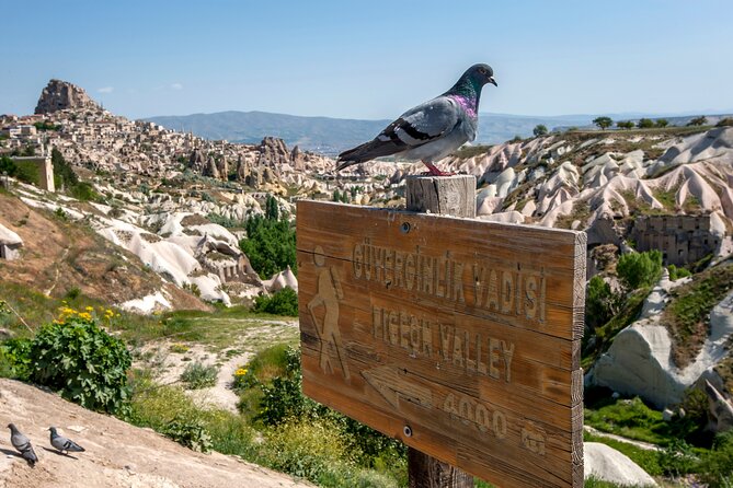 Full Day Private Cappadocia Tour (Guide & Driver) - Fairy chimneys and the final close look at erosion