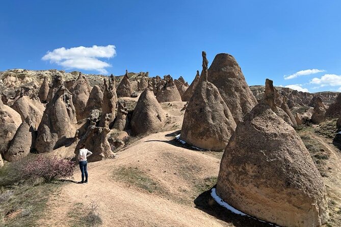 Full Day Private Cappadocia Tour (Luxury Van + Private Guide ) - Lunch, shopping stops, and the value question