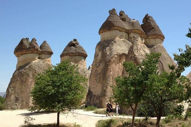 Full-Day Tour in Cappadocia with Open Air Museum - Devrent Valley and the pleasure of seeing shapes