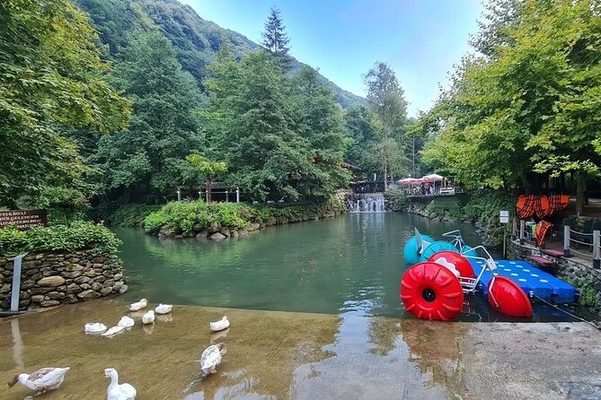 Full Day Tour in Sapanca & Masukiye from Istanbul - What This Sapanca Day Trip Is Really Like