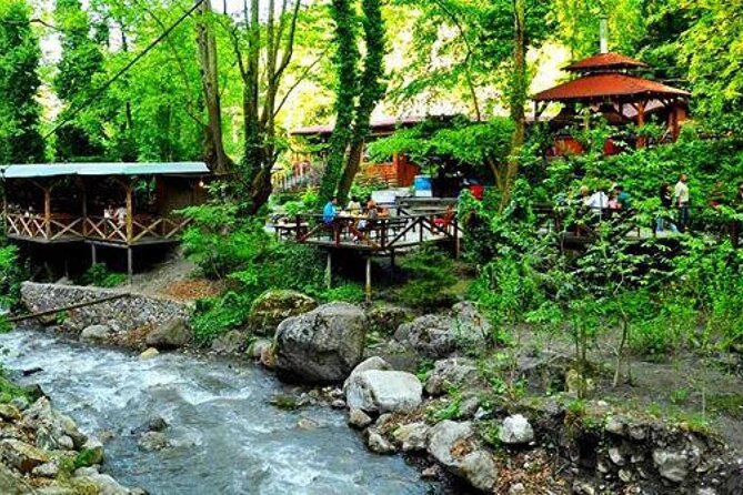 Full Day Tour in Sapanca & Masukiye from Istanbul - The Drive Toward Maşukiye