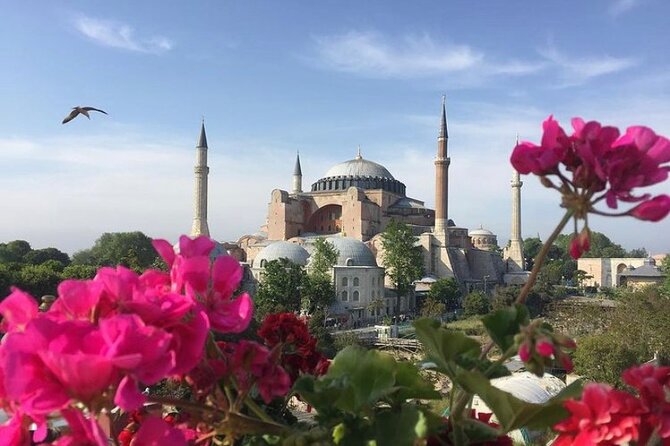 Hagia Sophia Group Tour ( Licensed Guide) - What the 40-Minute Visit Feels Like