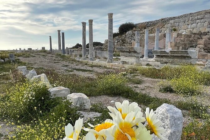 Half Day Guided Knidos Ancient City Tour - Who will get the most from this outing