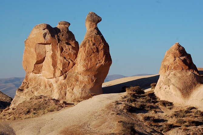 Highlights of Cappadocia All in One Tour - Devrent Valley and its animal-shaped rocks
