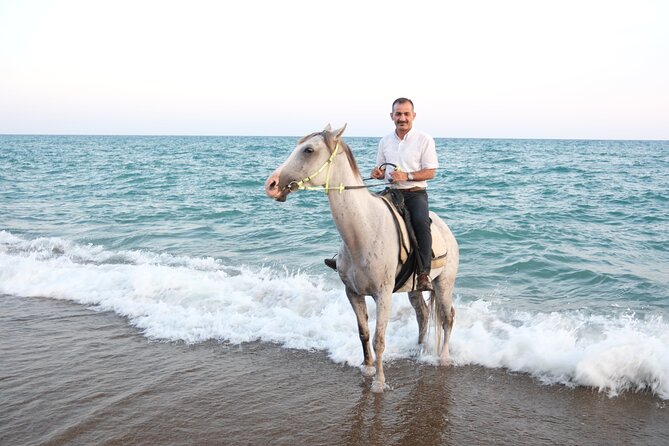Horse back Riding in Antalya - Safety, helmets, and horse welfare