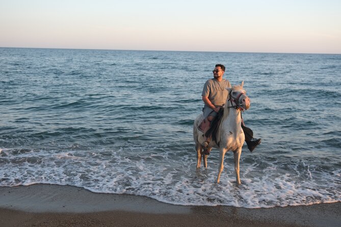 Horse back Riding in Antalya - Is $60.47 a fair price?