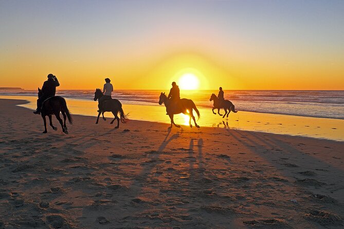 Horse Riding in Antalya,Belek,Lara Beach(Sunrise,Sunset,Day Time) - Sunrise on Lara Beach