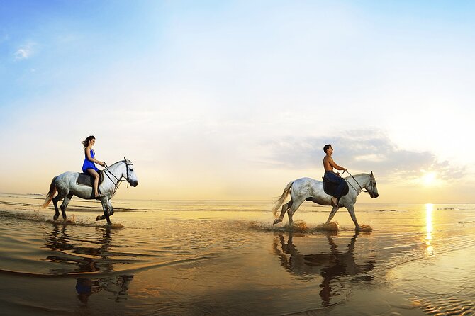 Horse Riding in Antalya,Belek,Lara Beach(Sunrise,Sunset,Day Time) - Horse ability, age limits, and safety