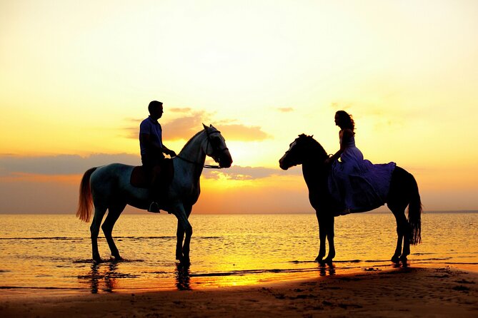 Horse Riding in Antalya,Belek,Lara Beach(Sunrise,Sunset,Day Time) - Photos, drinks, and the real value of $41.54