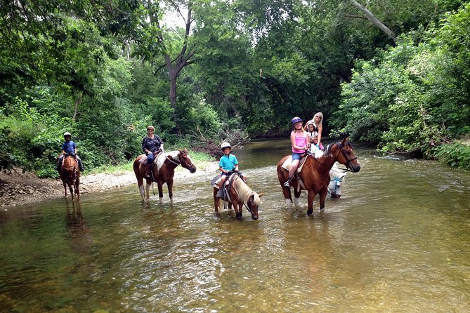 Horse Riding in Fethiye - Safety, horses, and the level of comfort